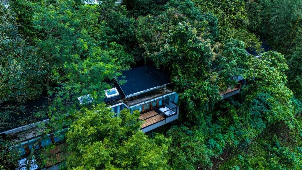 Wayanad Silverwoods Resorts