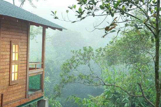 Misty Highlands Eco Resort